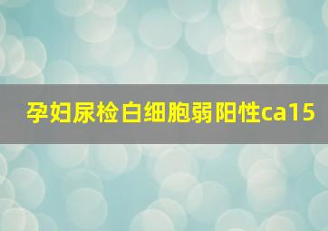 孕妇尿检白细胞弱阳性ca15