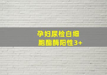 孕妇尿检白细胞酯酶阳性3+