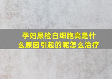 孕妇尿检白细胞高是什么原因引起的呢怎么治疗