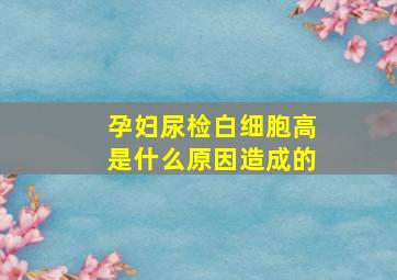 孕妇尿检白细胞高是什么原因造成的