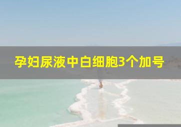 孕妇尿液中白细胞3个加号