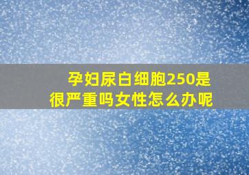 孕妇尿白细胞250是很严重吗女性怎么办呢