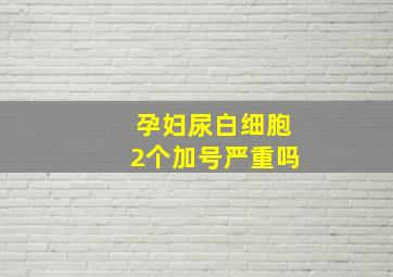 孕妇尿白细胞2个加号严重吗