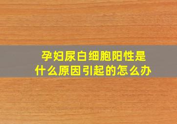 孕妇尿白细胞阳性是什么原因引起的怎么办