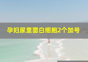 孕妇尿里面白细胞2个加号