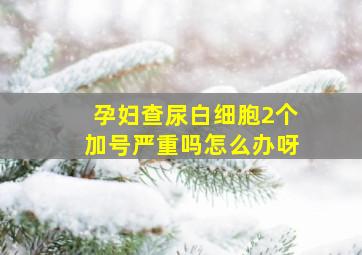 孕妇查尿白细胞2个加号严重吗怎么办呀