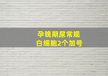 孕晚期尿常规白细胞2个加号