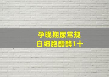 孕晚期尿常规白细胞酯酶1十