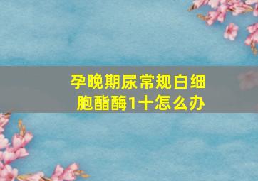 孕晚期尿常规白细胞酯酶1十怎么办