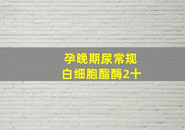 孕晚期尿常规白细胞酯酶2十