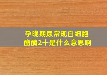 孕晚期尿常规白细胞酯酶2十是什么意思啊