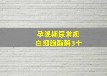 孕晚期尿常规白细胞酯酶3十