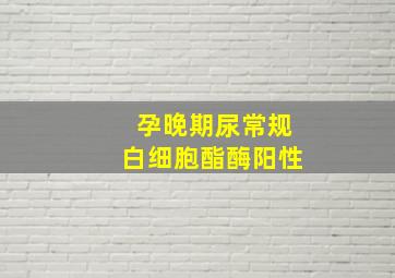 孕晚期尿常规白细胞酯酶阳性