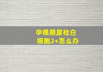 孕晚期尿检白细胞2+怎么办