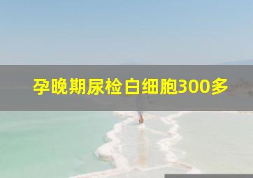 孕晚期尿检白细胞300多