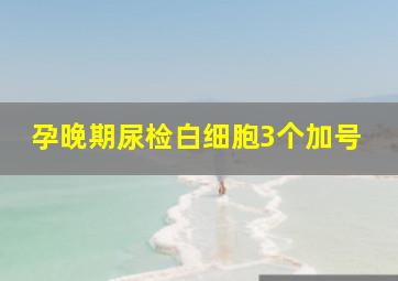 孕晚期尿检白细胞3个加号