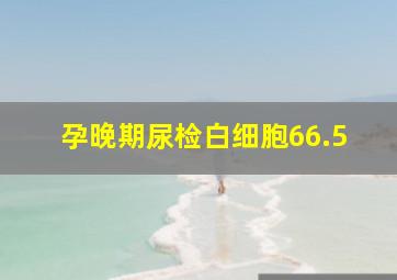 孕晚期尿检白细胞66.5