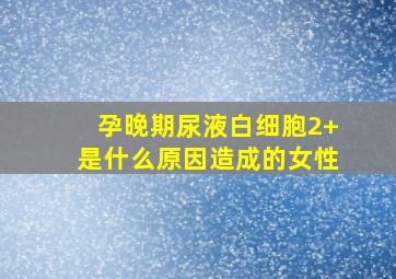 孕晚期尿液白细胞2+是什么原因造成的女性