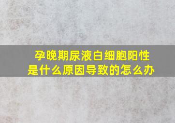 孕晚期尿液白细胞阳性是什么原因导致的怎么办