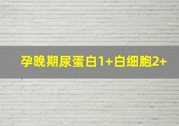 孕晚期尿蛋白1+白细胞2+