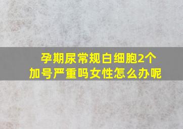 孕期尿常规白细胞2个加号严重吗女性怎么办呢