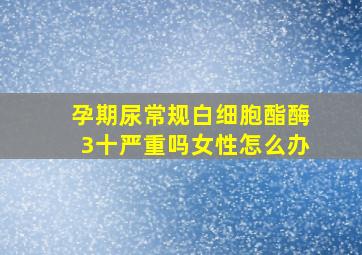 孕期尿常规白细胞酯酶3十严重吗女性怎么办