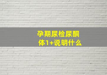 孕期尿检尿酮体1+说明什么