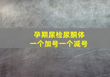 孕期尿检尿酮体一个加号一个减号