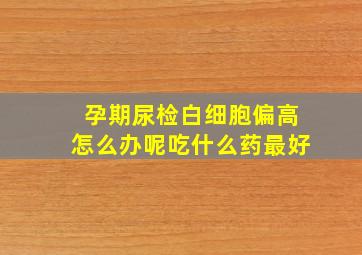 孕期尿检白细胞偏高怎么办呢吃什么药最好