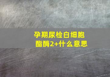 孕期尿检白细胞酯酶2+什么意思