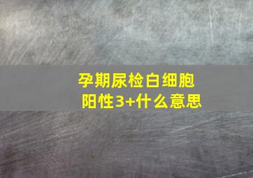 孕期尿检白细胞阳性3+什么意思