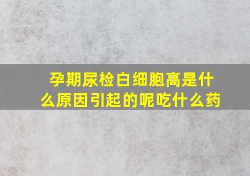 孕期尿检白细胞高是什么原因引起的呢吃什么药