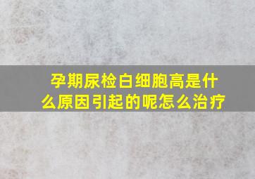 孕期尿检白细胞高是什么原因引起的呢怎么治疗