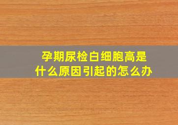 孕期尿检白细胞高是什么原因引起的怎么办