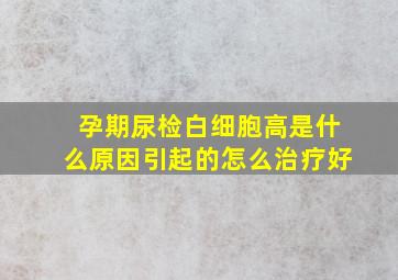 孕期尿检白细胞高是什么原因引起的怎么治疗好