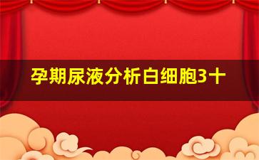 孕期尿液分析白细胞3十