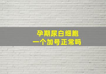 孕期尿白细胞一个加号正常吗