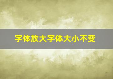 字体放大字体大小不变