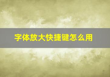 字体放大快捷键怎么用