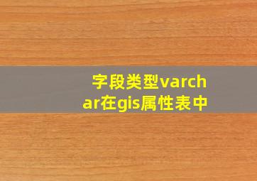 字段类型varchar在gis属性表中