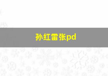 孙红雷张pd