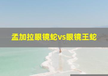 孟加拉眼镜蛇vs眼镜王蛇