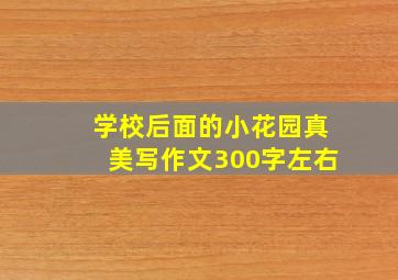 学校后面的小花园真美写作文300字左右