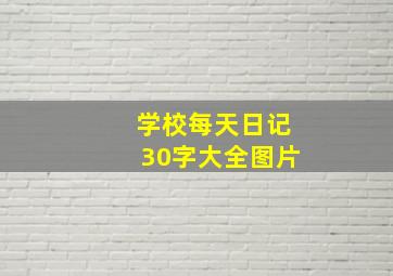 学校每天日记30字大全图片