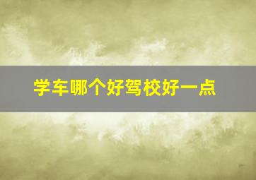 学车哪个好驾校好一点