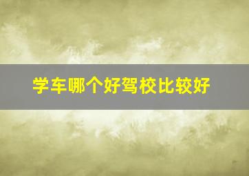 学车哪个好驾校比较好