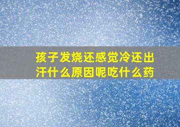 孩子发烧还感觉冷还出汗什么原因呢吃什么药