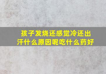 孩子发烧还感觉冷还出汗什么原因呢吃什么药好