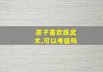 孩子喜欢练武术,可以考级吗