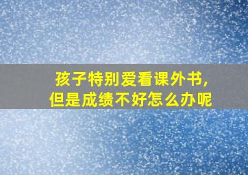 孩子特别爱看课外书,但是成绩不好怎么办呢